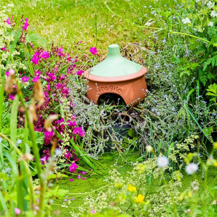 Frogilo - Eco-Friendly Frog Shelter product image