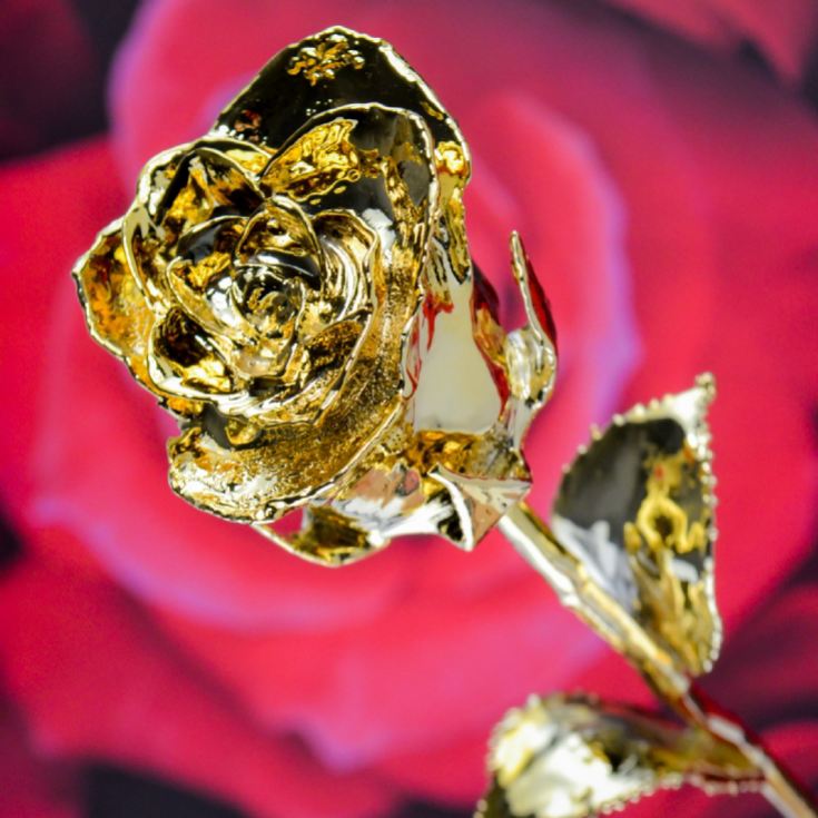 24k Gold Rose The Gift Experience