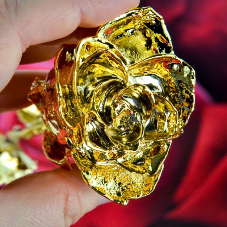 24k Gold Rose The Gift Experience