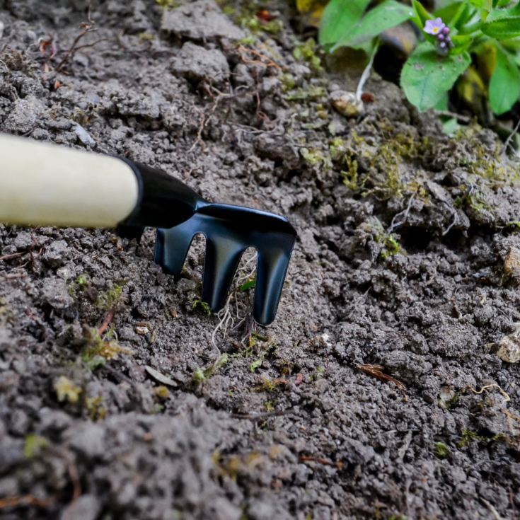 Gardening Essentials Mug Set product image