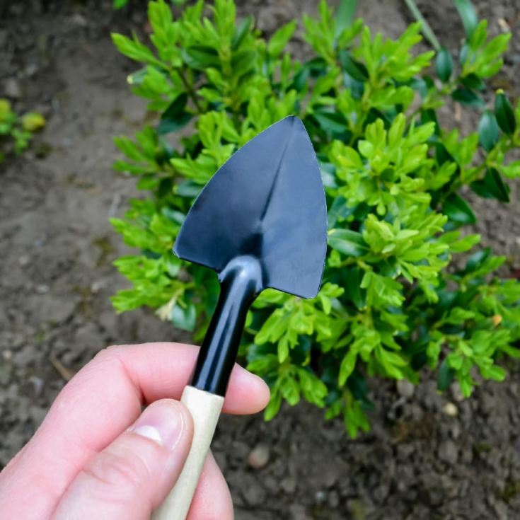 Gardening Essentials Mug Set product image