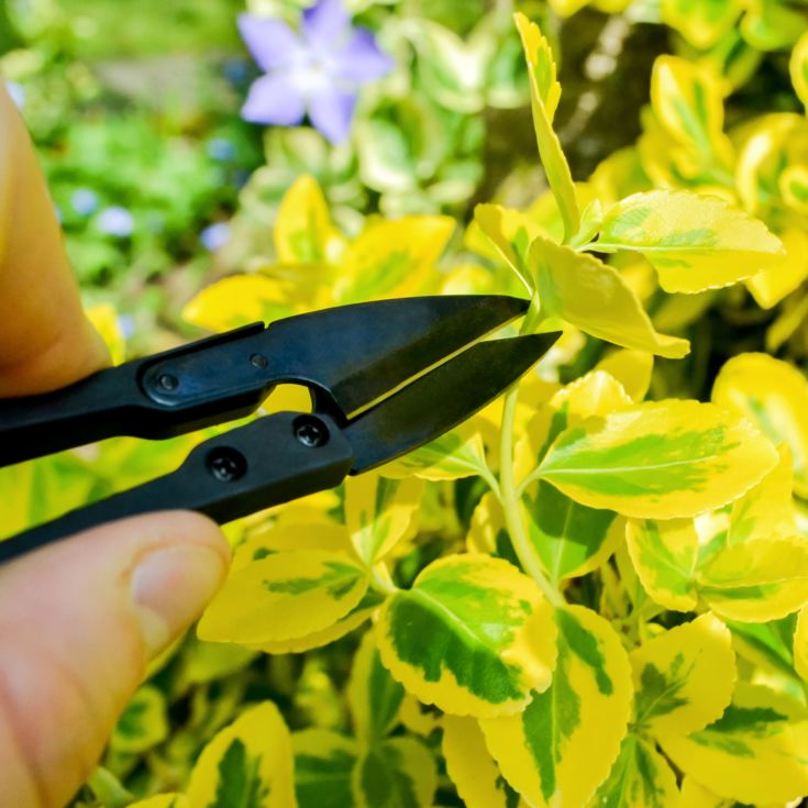 Gardening Essentials Mug Set product image