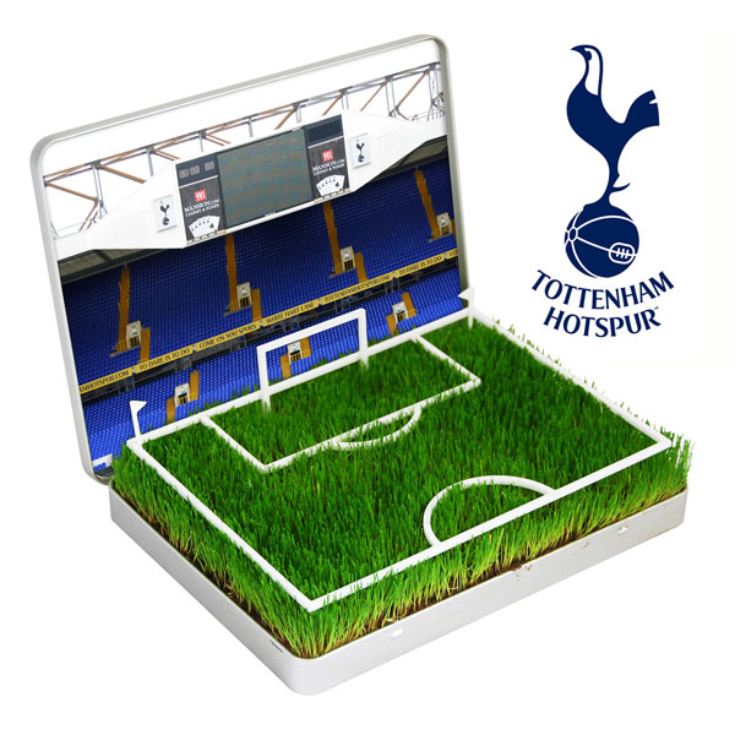 Grow Your Own Mini Football Pitch product image