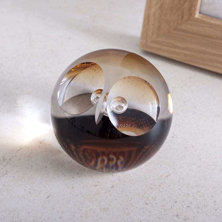 Wise Owl Paperweight By Caithness Glass The Gift Experience