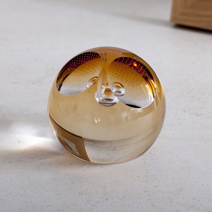 Wise Owl Paperweight By Caithness Glass The Gift Experience