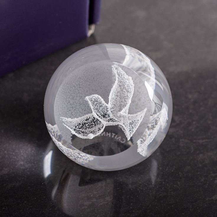 Special Moments Dove Paperweight By Caithness Glass product image