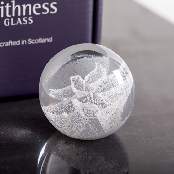 Special Moments Dove Paperweight By Caithness Glass product image