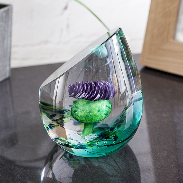 Scottish Jewel Of The Glen Paperweight By Caithness Glass product image