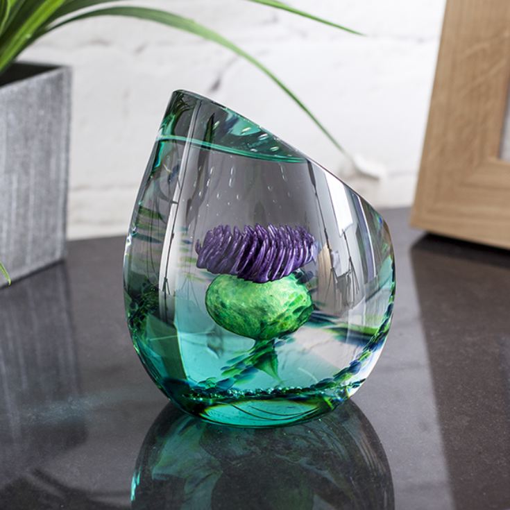 Scottish Jewel Of The Glen Paperweight By Caithness Glass product image