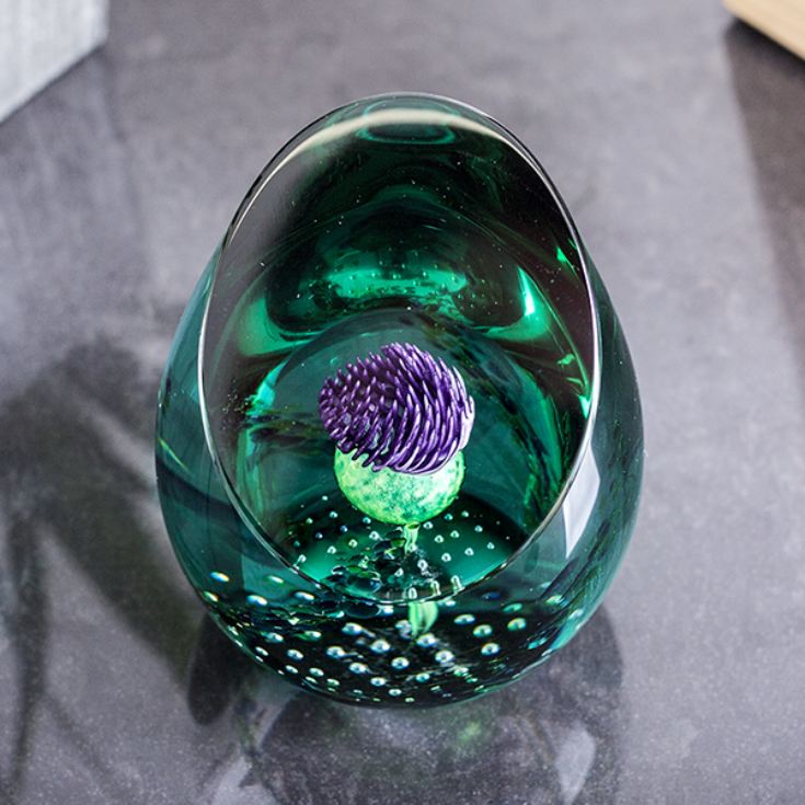 Scottish Jewel Of The Glen Paperweight By Caithness Glass product image