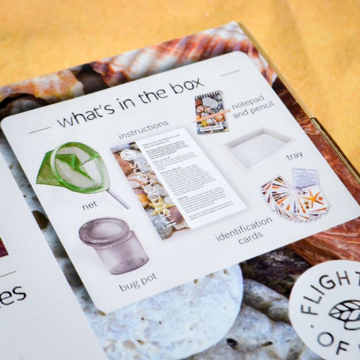 Flights of Fancy About The Seashore Kit product image