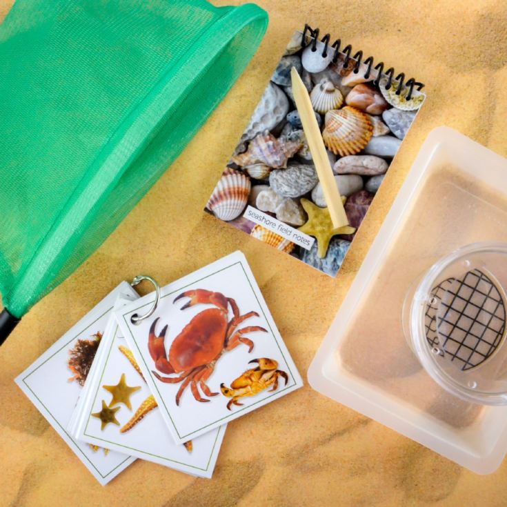 Flights of Fancy About The Seashore Kit product image