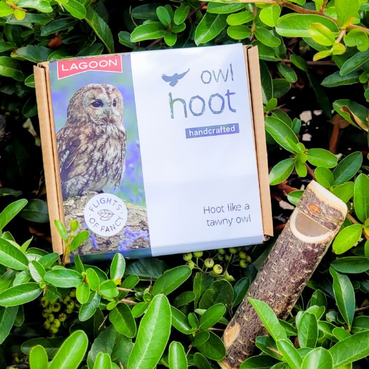 Owl Hoot product image