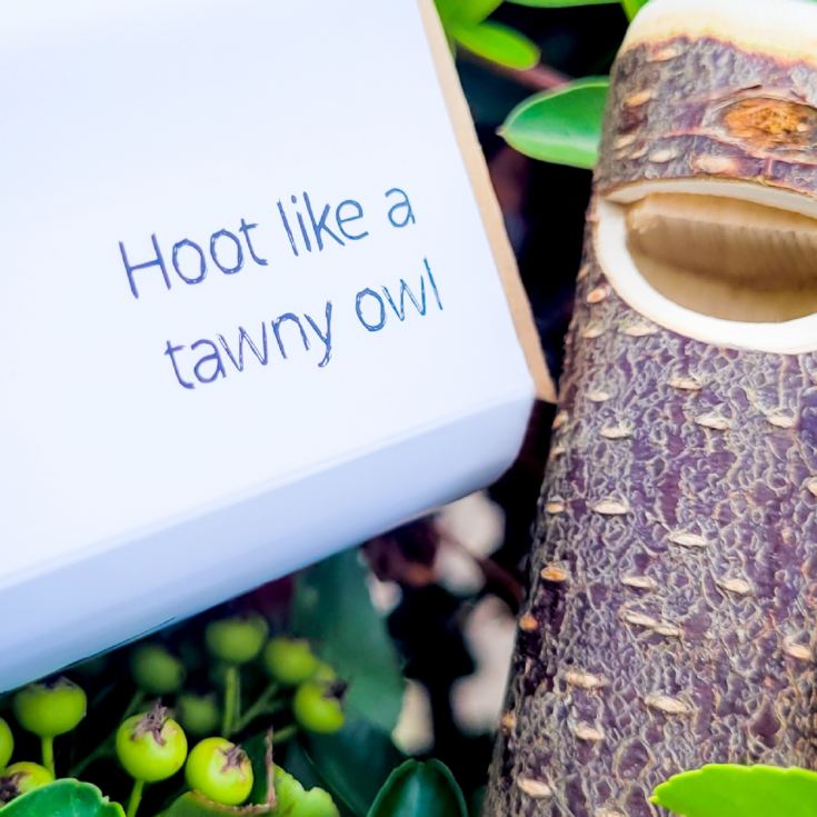 Owl Hoot product image