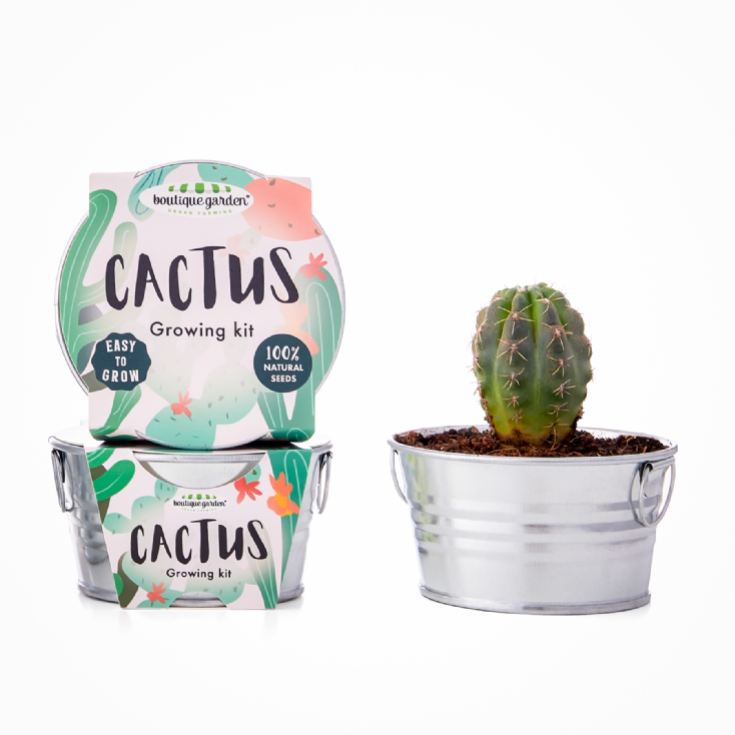 Grow Your Own Cactus Plant product image