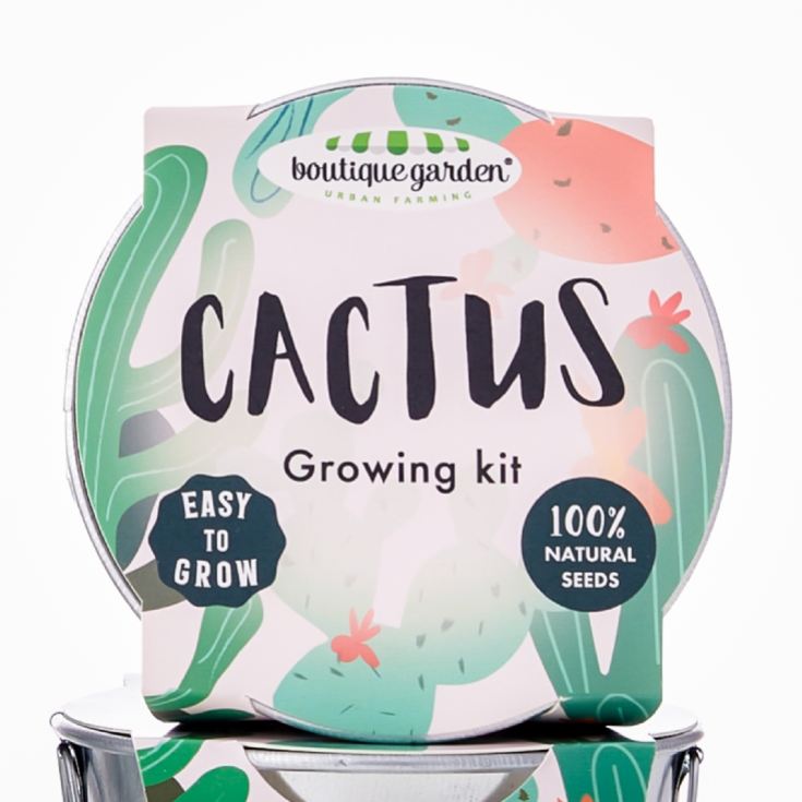 Grow Your Own Cactus Plant product image