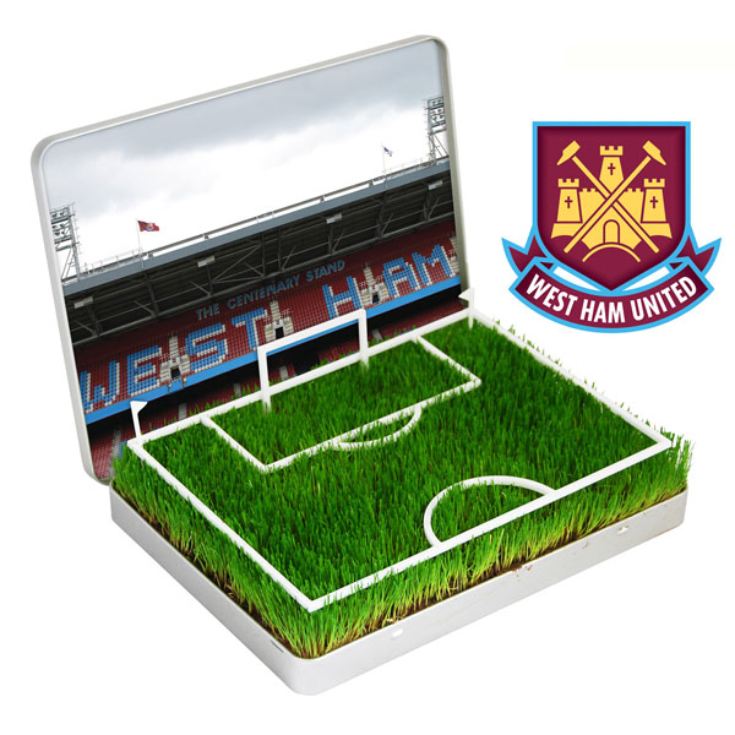 Grow Your Own Mini Football Pitch product image