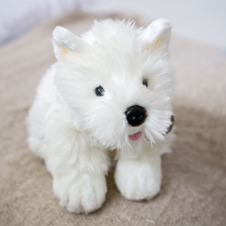 piglet plush toy australia