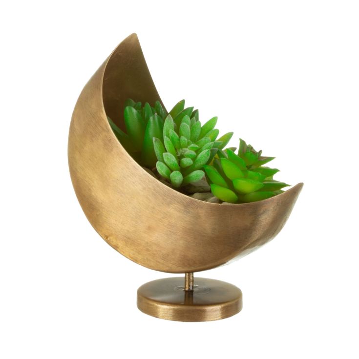 Mini Celestial Moon Planter product image