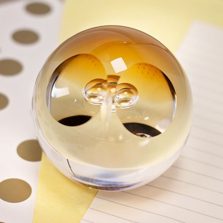 Wise Owl Paperweight By Caithness Glass The Gift Experience