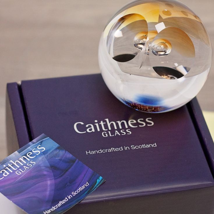 Wise Owl Paperweight By Caithness Glass The Gift Experience