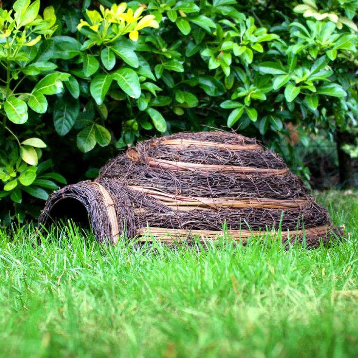 Igloo Hedgehog Home product image