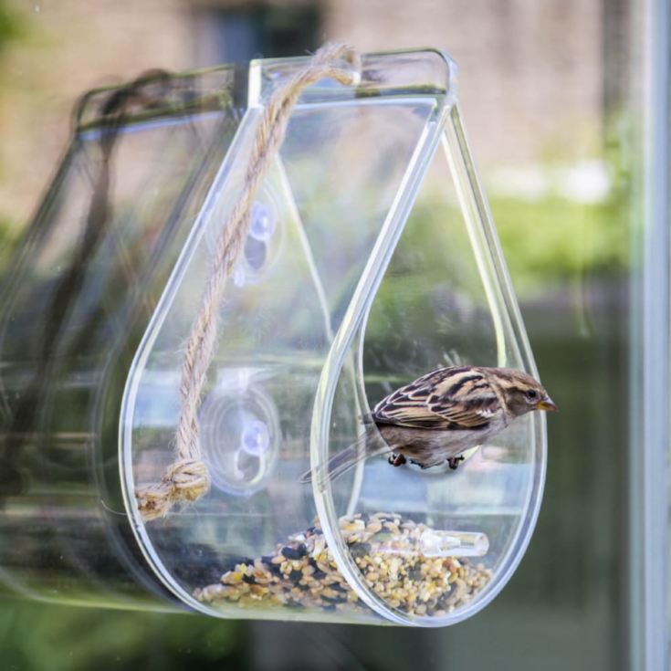Dewdrop Window Bird Feeder product image