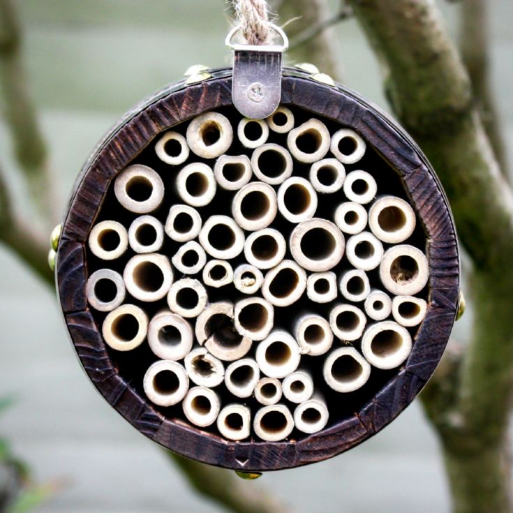 Bee Barrel product image