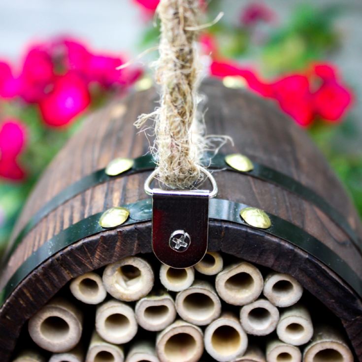 Bee Barrel product image