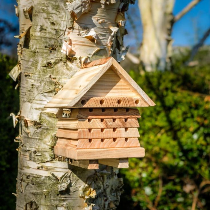Interactive Solitary Bee Hive product image