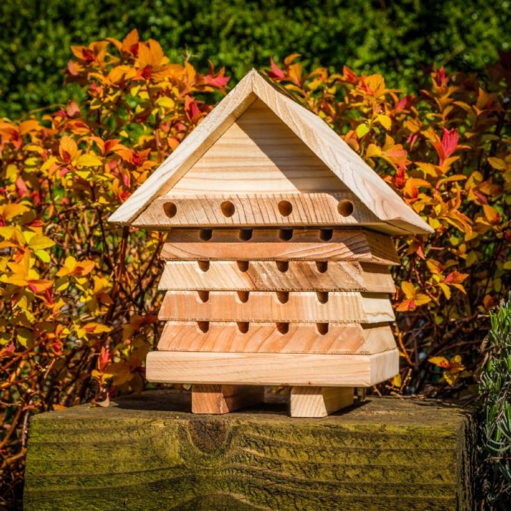 Interactive Solitary Bee Hive product image