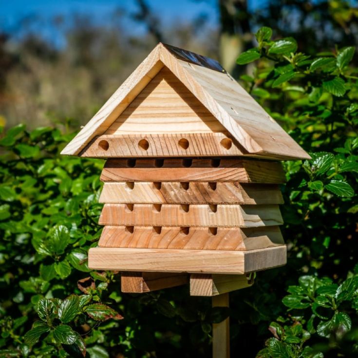 Interactive Solitary Bee Hive product image