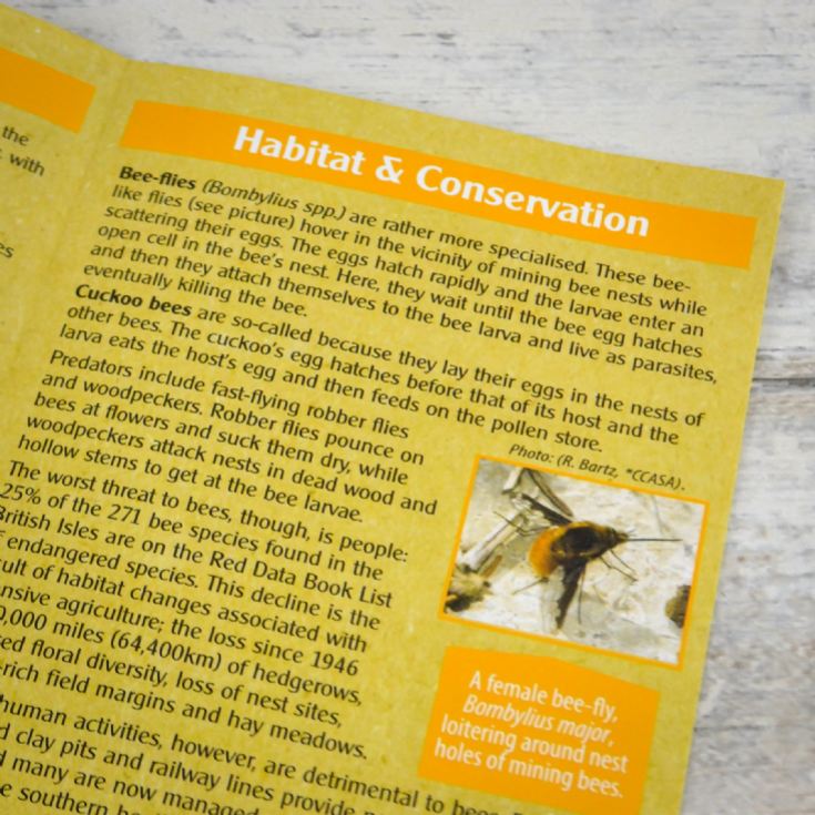 For The Love Of Bees Gift pack product image