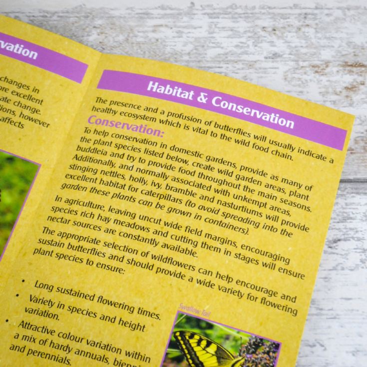 Butterflies Conservation Gift Pack