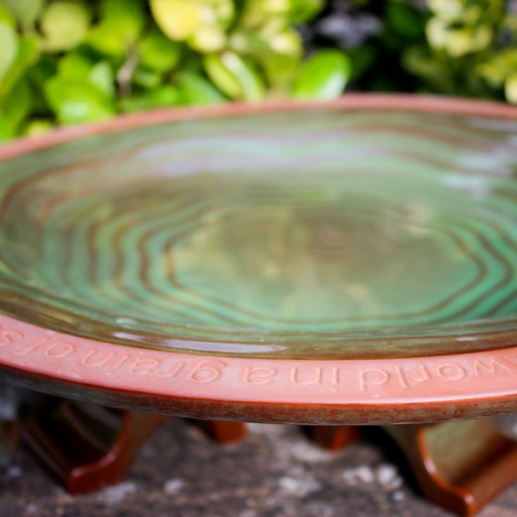 Terracotta Echoes Bird Bath with William Blake Quote product image