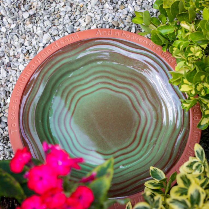 Terracotta Echoes Bird Bath with William Blake Quote product image