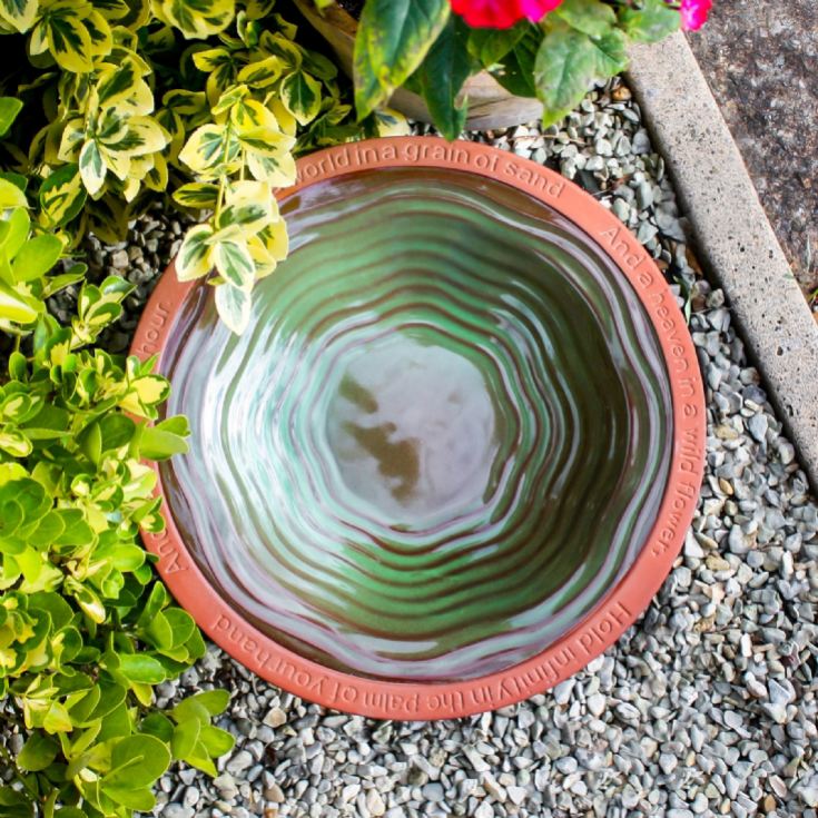 Terracotta Echoes Bird Bath with William Blake Quote product image