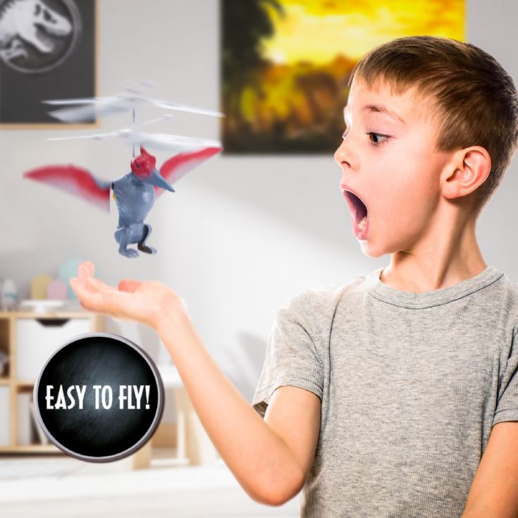 Pteranodon Dinosaur Flying Toy product image