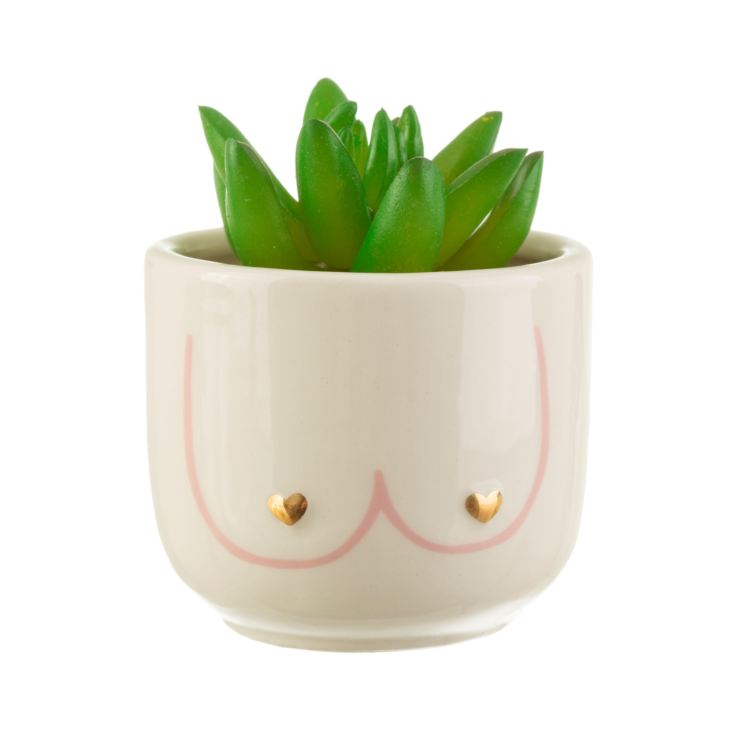 Girl Power Boobies Mini Planter product image