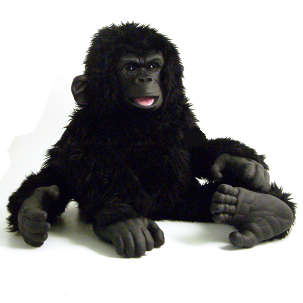 Gorilla Gifts & Presents Ideas Gift Finder Seek Gifts