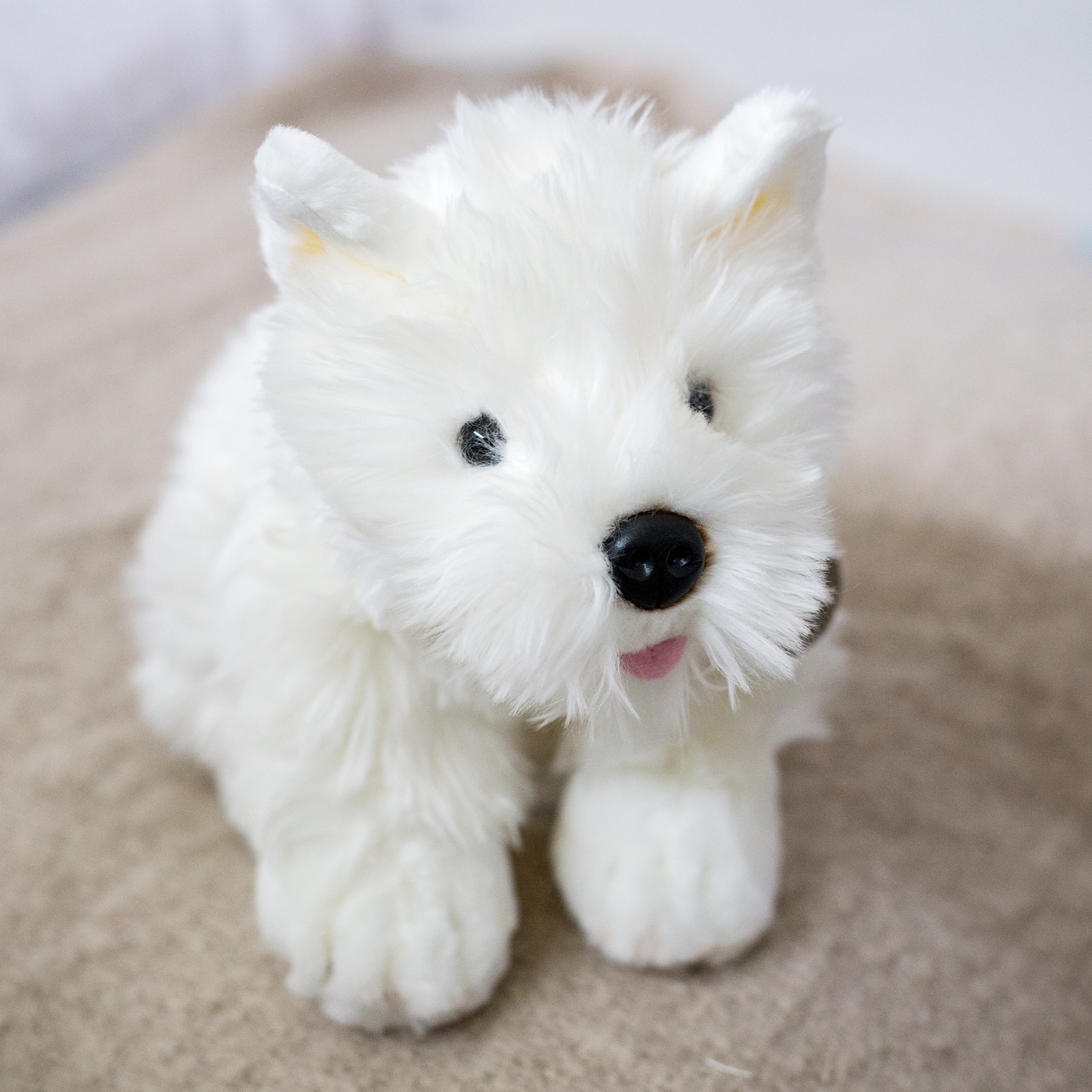 westie plush